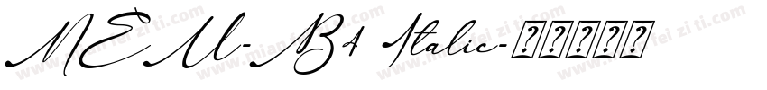 NEU-B4 Italic字体转换